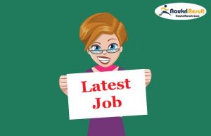 Mizoram University Group C Jobs 2021 | 18 Posts | Eligibility | Apply Online