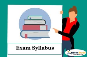 MPSC Subordinate Services Group B Syllabus 2023 PDF